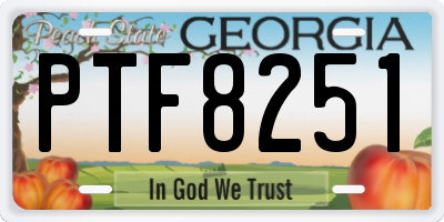 GA license plate PTF8251