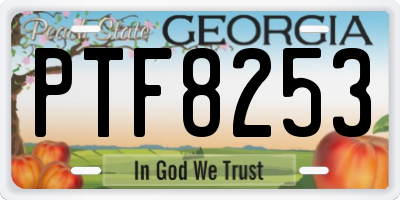 GA license plate PTF8253