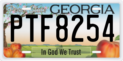 GA license plate PTF8254