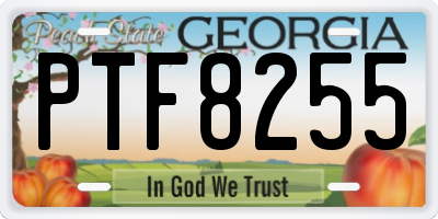 GA license plate PTF8255