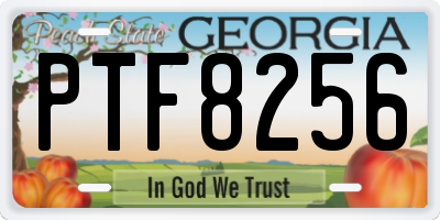 GA license plate PTF8256