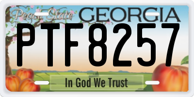 GA license plate PTF8257