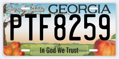 GA license plate PTF8259