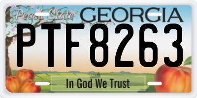 GA license plate PTF8263