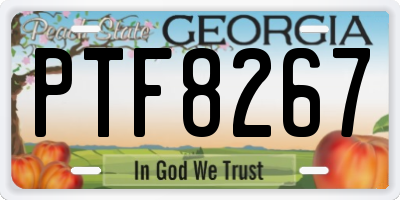 GA license plate PTF8267