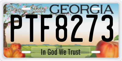 GA license plate PTF8273