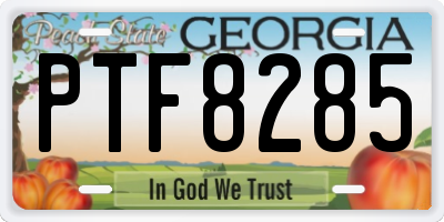 GA license plate PTF8285