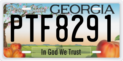 GA license plate PTF8291