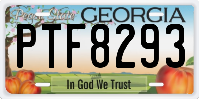 GA license plate PTF8293