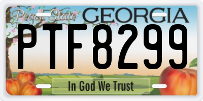 GA license plate PTF8299