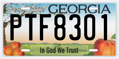 GA license plate PTF8301