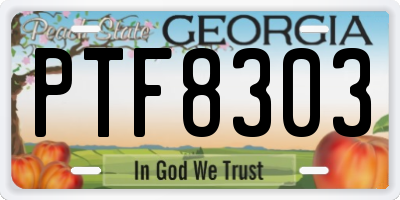 GA license plate PTF8303