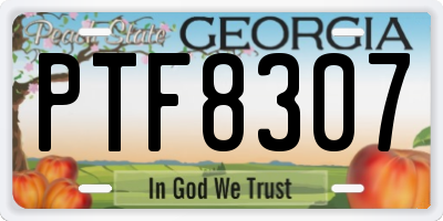 GA license plate PTF8307