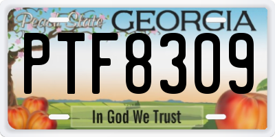 GA license plate PTF8309