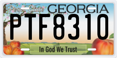GA license plate PTF8310