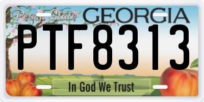 GA license plate PTF8313