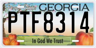 GA license plate PTF8314