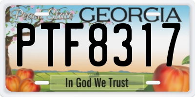 GA license plate PTF8317