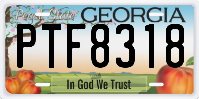 GA license plate PTF8318