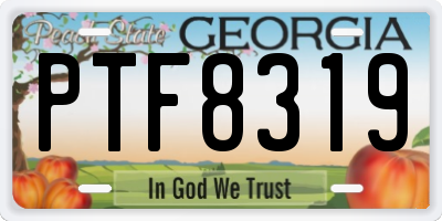 GA license plate PTF8319