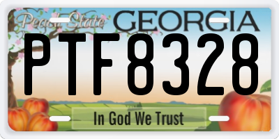 GA license plate PTF8328