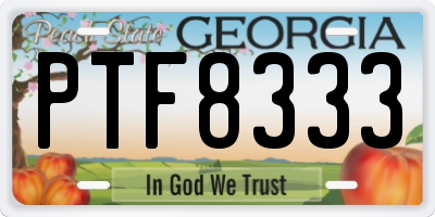 GA license plate PTF8333