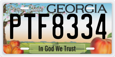 GA license plate PTF8334