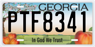 GA license plate PTF8341