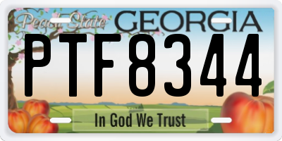 GA license plate PTF8344