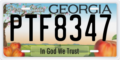 GA license plate PTF8347