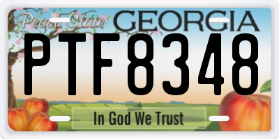 GA license plate PTF8348