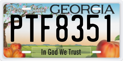GA license plate PTF8351
