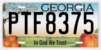 GA license plate PTF8375