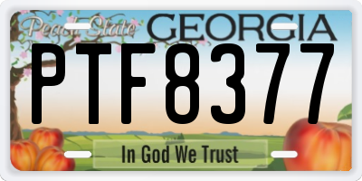 GA license plate PTF8377