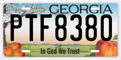 GA license plate PTF8380