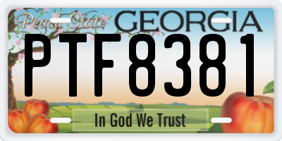 GA license plate PTF8381