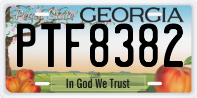 GA license plate PTF8382