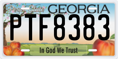 GA license plate PTF8383