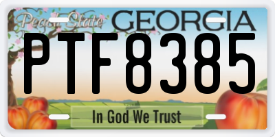 GA license plate PTF8385