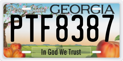 GA license plate PTF8387