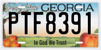 GA license plate PTF8391