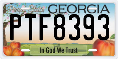 GA license plate PTF8393