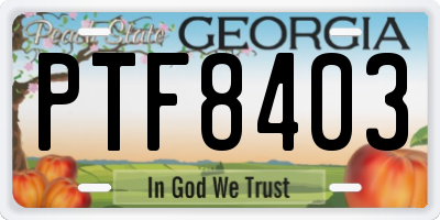 GA license plate PTF8403