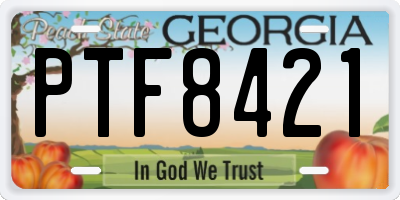 GA license plate PTF8421