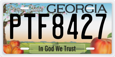 GA license plate PTF8427