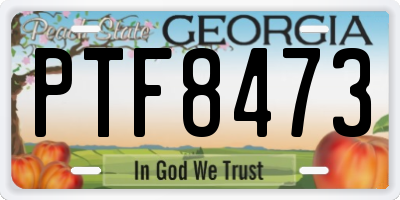 GA license plate PTF8473
