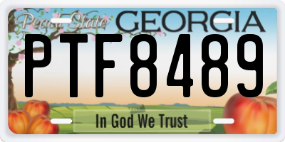 GA license plate PTF8489