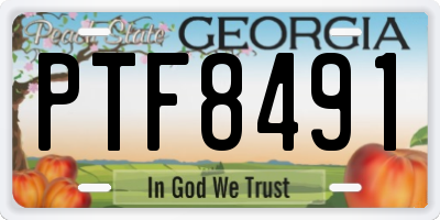 GA license plate PTF8491
