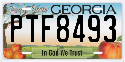 GA license plate PTF8493