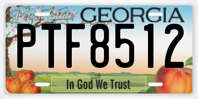 GA license plate PTF8512